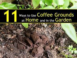 Two reasons — coffee tends to dry out in crust, thus making watering difficult.it can also grow a mould. 11 Ways To Use Coffee Grounds In The Garden