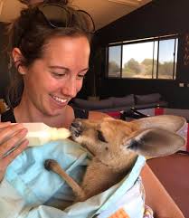 The Kangaroo Sanctuary Alice Springs