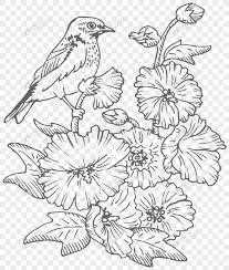 Check spelling or type a new query. 87 Gambar Gambar Burung Hitam Putih Paling Keren