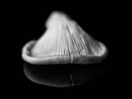 Close Up And Macro Food Photography Ideas You Should Try Macro Food Photography Food Photography Macro Meals