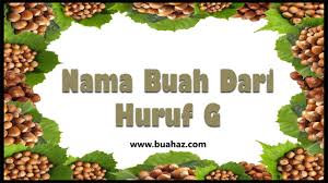Indonesia adalah sebuah negara beriklim tropis yang sangat kaya dengan keragaman tumbuhan dan. Nama Buah Berawalan Huruf G Www Buahaz Com