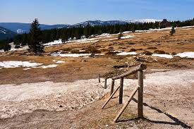 Účetní hodnota nabízeného majetku byla v první vlně 35 535 korun na jednoho dika a ve druhé vlně 25. Spring In The Mountains Spring In The Czech Mountains Gian Flickr