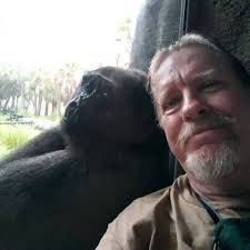 Should I use a 13.8V 11A power supply for the Icom IC-V3500?