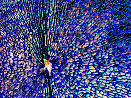 Broken screen hd with a maximum resolution of 1920x1200 and related broken or screen wallpapers. Broken Screen Wallpapers Hd For Mobile Wallpaper Cave