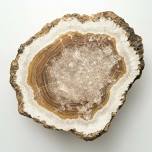 Geology Day Camp