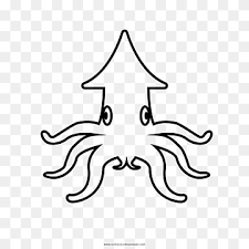 Oftmals irrtümlich als riesenkrake bezeichnet) ist weltweit verbreitet. Squid Coloring Book Drawing Giant Squid White Text Symmetry Png Pngwing