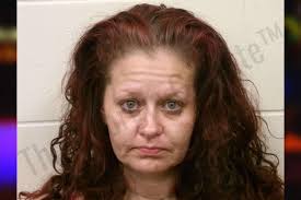 Krista Collier — Bulloch County Jail Bookings