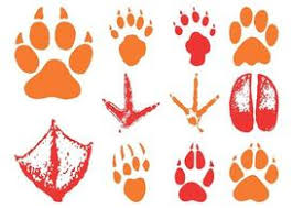 Download Free Animal Footprints Vector Illustration Ai Svg Eps