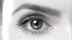 In this post, i will give you some tips and guidance on how to start an eyelash extensions business from the ground up. A History Of Eyelash Extensions How Long Have People Been Enhancing Their Lashes