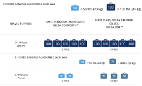 delta airlines bage fees guide