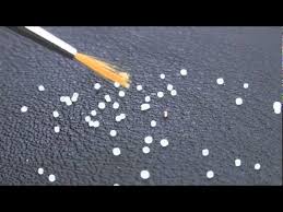Image result for bed bugs eggs