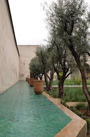 Marrakech Le Jardin Secret Avec Images Jardin Marrakech