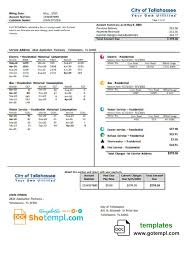 Usa City Of Tallahassee Your Own Utilities Bill Template In Word Format Bill Template Easy Reading Templates