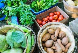 Vegetable horticulture is wonderful enjoyable, supplying fulfilling, healthy and balanced workout, in addition to benefiting the. When To Harvest Your Top 10 Most Popular Garden Vegetables Stone Family Farmstead