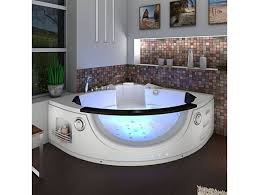 Whirlpool Pool Badewanne Eckwanne Wanne A1506h All 152x152cm Reinigung In 2020 Dog Toilet Corner Bathtub House