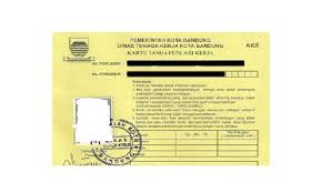 Sementara wonogiri, karanganyar, sragen dan boyolali masuk kategori situasi pandemi level 3. Bikin Kartu Kuning Pencari Kerja Cuma 15 Menit Begini Syarat Dan Caranya Cermati Com