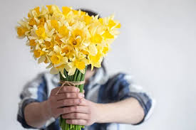 Regalar Flores Amarillas