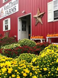 Image result for tbn:0PJB32OL7JwfOM::farm4.static.flickr.com/3324/3329876139_f2d551139f.jpg