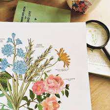 Maybe you would like to learn more about one of these? Our Story In Bloom Print Language Of Flowers By Summer Lane Studio Notonthehighstreet Com
