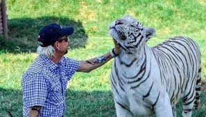 Submitted 6 days ago by jadart. Socyy3req1lmjm