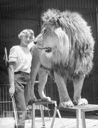 Lion Tamer Vintage Circus Photos Vintage Circus Big Top