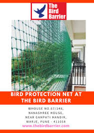 Bird Protection Net At The Bird Barrier Bird Netting Bird Control Protection