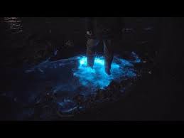 June 2 at 6:14 am ·. Pin Auf Dieren Zeevonk