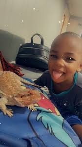 Introduction to a pet amphibian, care and feeding