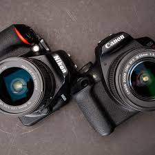 توصيل منزلي مجاني على مشتريات محددة أو استلامها من المعرض Nikon D3500 Vs Canon T7 Which Is Better Digital Photography Review