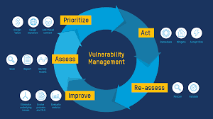 What Is Vulnerability Management? Lifecycle Steps & More