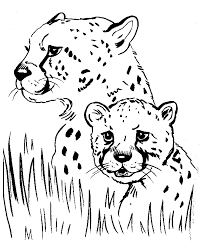 The identity of a cheetah is colored in different shades of including tan with solid black and yellow spots, black tear, slender. Wild Animal Coloring Pages Cheetah Coloring Page And Kids Activity Sheet Honkingd Coloring Pictures Of Animals Animal Coloring Pages Animal Coloring Books