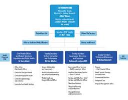 Our Organisation Chart Ministry Of Health Governance