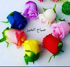 Emraa On Instagram صباح الورد والفل والياسمين نتمني لكم جميعا يوم مشرق ومليئ بالسعادة والفرح Good Morning Arabic Morning Greeting Good Morning Images