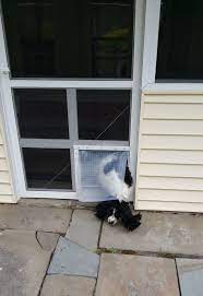 Pin On Screen Dog Door