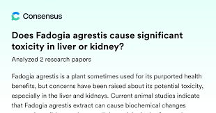 Image result for Fadogia cienkowskii