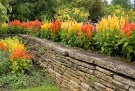Stone Wall Ideas Learn About Building A Stone Wall In Your Garden