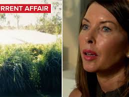 Homeowner loses $40,000 in neighbourhood dispute over shiny roof