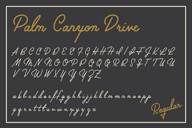 We did not find results for: Palm Canyon Drive Deluxe Edition By Retrosupply Thehungryjpeg Com
