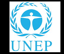 Apparently galen refers to the pneuma and the various humours. Programa De Las Naciones Unidas Para El Medio Ambiente Naciones Unidas Y El Estado De Derecho