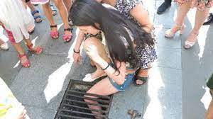 Los mejores videos de risa, videos chistosos. Los Mejores Videos Graciosos Cortos La Mejor Recopilacion