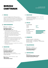 Senior financial analyst seeking employment with state government, federal government, national and international companies in cost analysis, budget analysis. Mortgage Analyst Resume Example Kickresume
