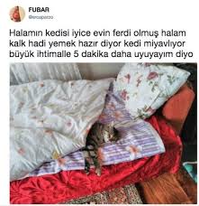 Insan Olmus Bu Resmen Mizah Komik Seyler Komik Alintilar