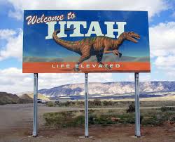 images?q=tbn:ANd9GcQYn8dzAFupeFvvl-Hyaagy0QD8PIDpFvMkutPsKy5W0pYoY93r