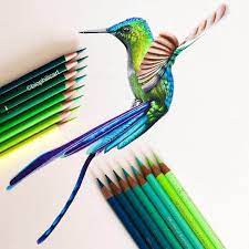 Brightly Colored Animal Pencil Drawings Pencil Drawings Of Animals Color Pencil Drawing Color Pencil Art