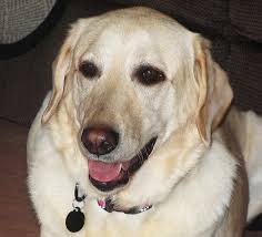 Bella Portrait_Apr 1 2013