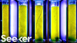 Why Dont We Have Functional Biofuel Yet Https Www Youtube Com Watch V Leepdbzqfme Blogger Resources Human Geography Ap Human Geography