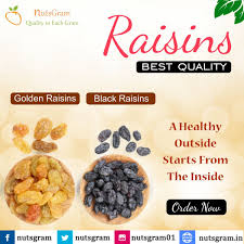 Pin On Nutsgram Dryfruits