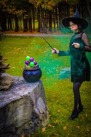 Image result for Elf Green 1977 Hussmann