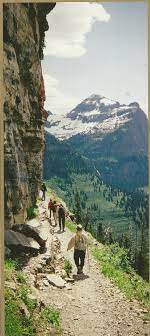 Hiking Highline Trail Glacier National Park Montana I Have Done This The Places To Travel National Parks Outdoors Adventure