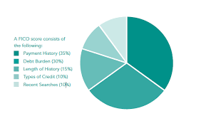 Building U S Credit History Fico Score Pie Chart